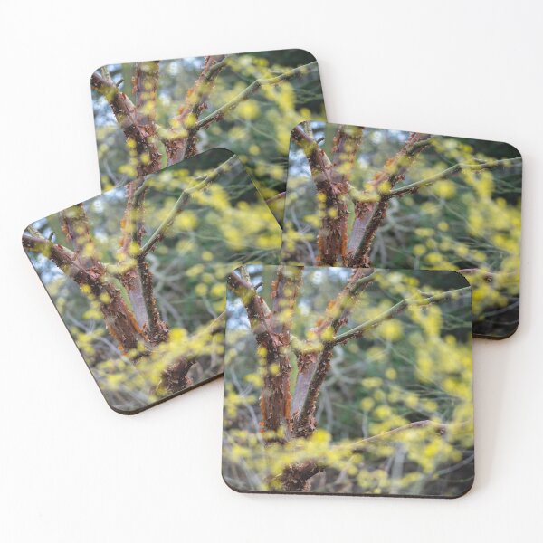 Item preview, Winter garden light (Beth Chatto garden) designed and sold by ccullen222.