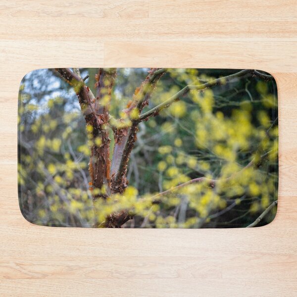 Item preview, Winter garden light (Beth Chatto garden) designed and sold by ccullen222.