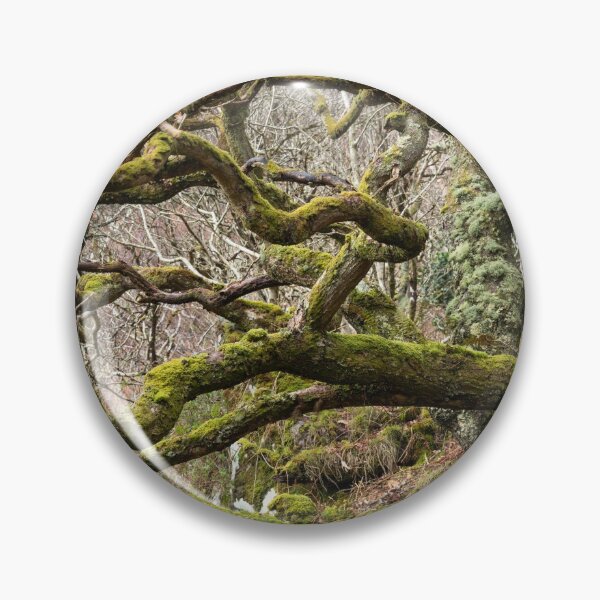 Item preview, Old Kintyre Oak designed and sold by ccullen222.