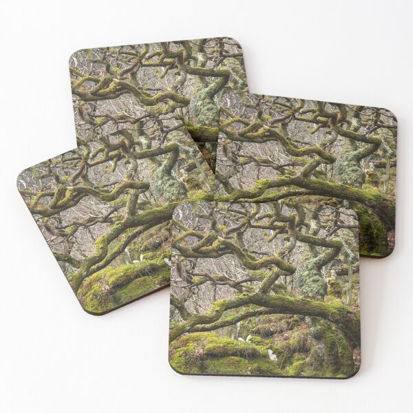 Item preview, Old Kintyre Oak designed and sold by ccullen222.