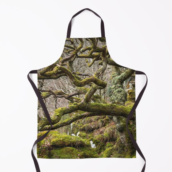Item preview, Old Kintyre Oak designed and sold by ccullen222.