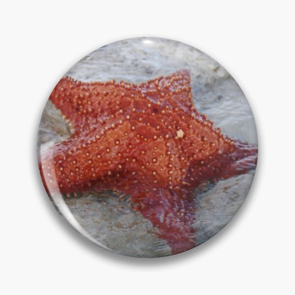 Artikelvorschau, Orange Ocean Starfish entworfen und verkauft von Islandjunkie09.