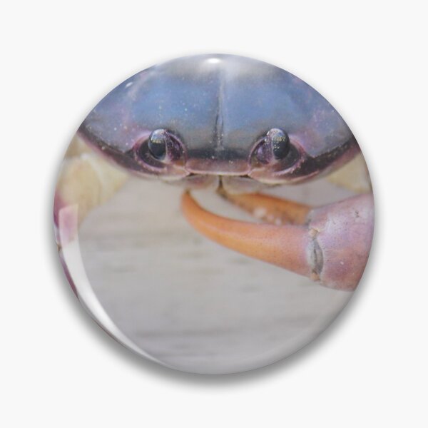 Item preview, Bahamian land crab designed and sold by Islandjunkie09.
