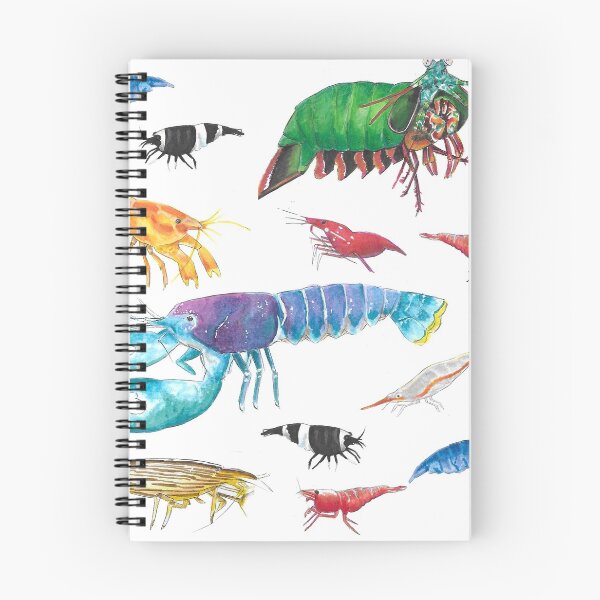 Item preview, Shrimpies (and a crayfish and lobster)  designed and sold by Hannah-James94.