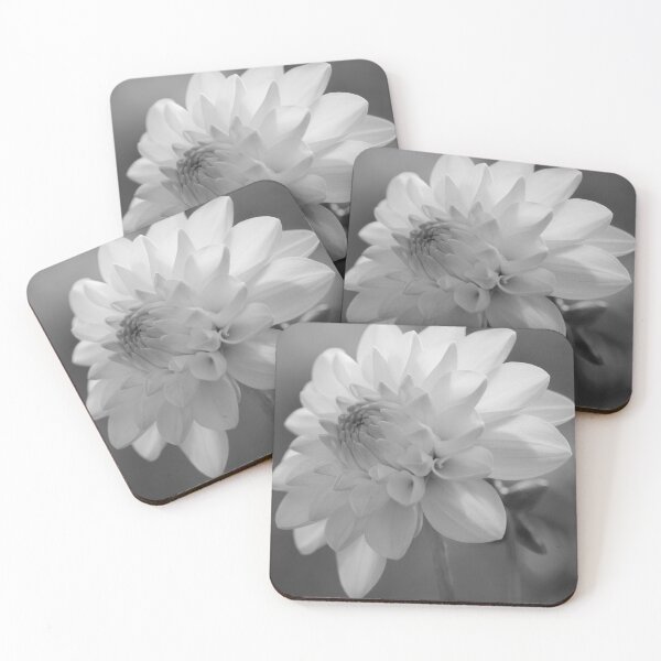 Item preview, Dahlia in the garden (square b&w) designed and sold by John Guppy.