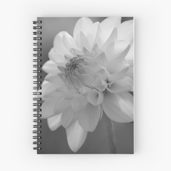 Item preview, Dahlia in the garden (square b&w) designed and sold by John Guppy.