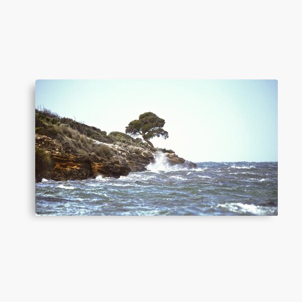 Item preview, Alone by the sea designed and sold by Dean Wiles.