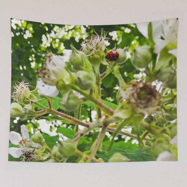 Item preview, Ladybird on a Bramble designed and sold by ArtisticMishaps.