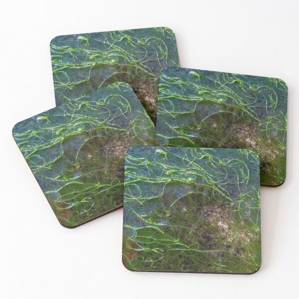 Item preview, Grogport Rock Pool  designed and sold by ccullen222.