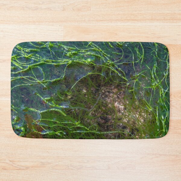 Item preview, Grogport Rock Pool  designed and sold by ccullen222.