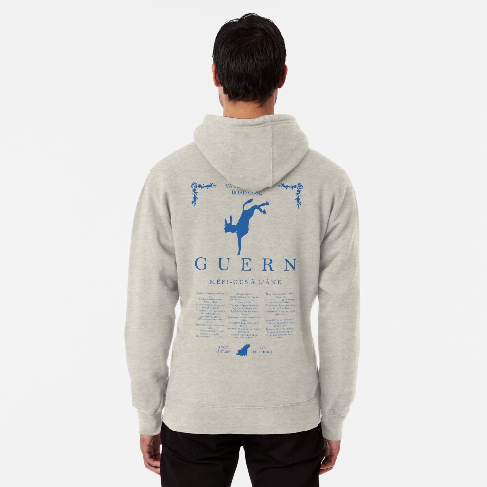 Beware of the Donkey - Blue Pullover Hoodie