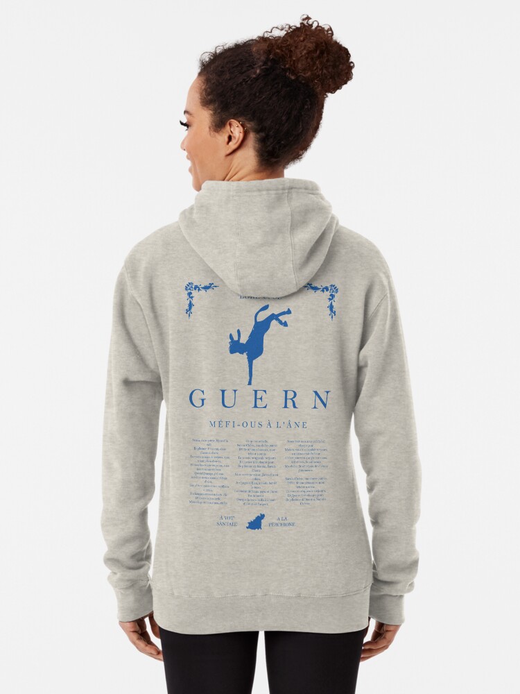 Alternate view of Beware of the Donkey - Blue Pullover Hoodie