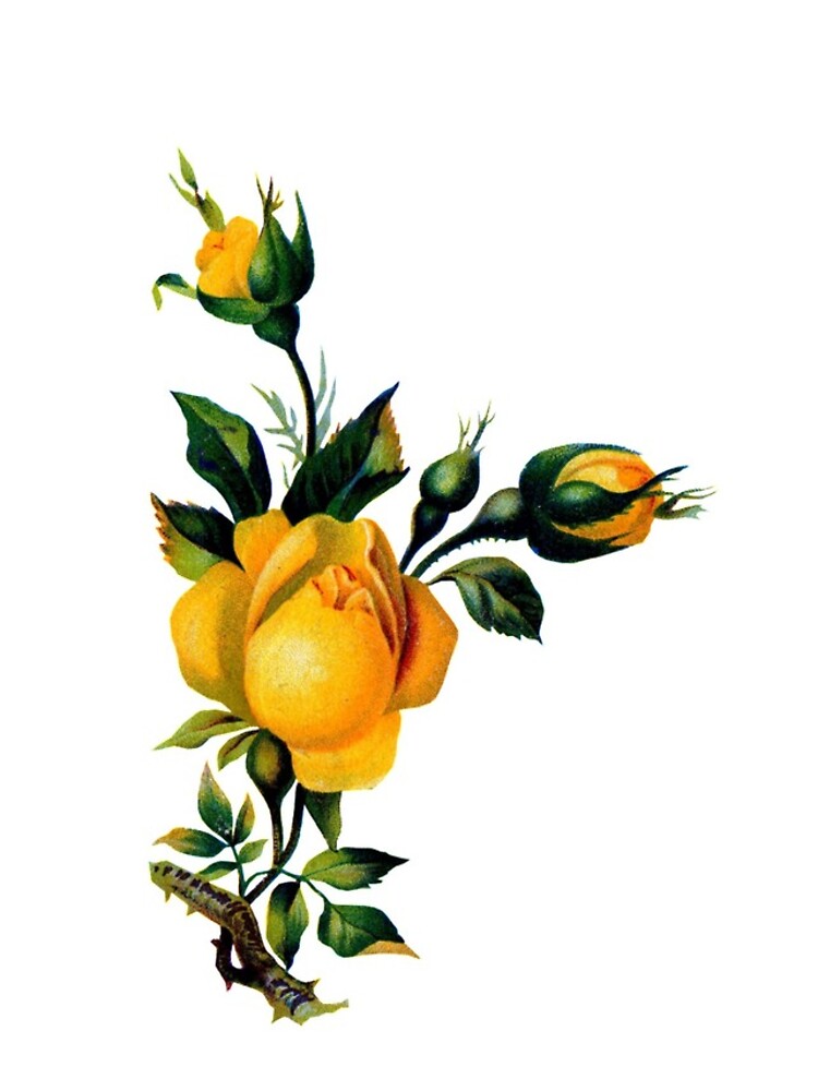 Thumbnail 4 of 4, iPhone Case, Yellow Roses designed and sold by audio-sync.