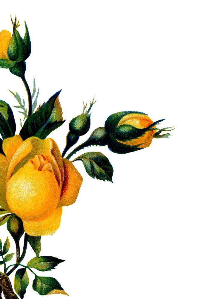 Thumbnail 3 of 3, Scarf, Yellow Roses designed and sold by audio-sync.