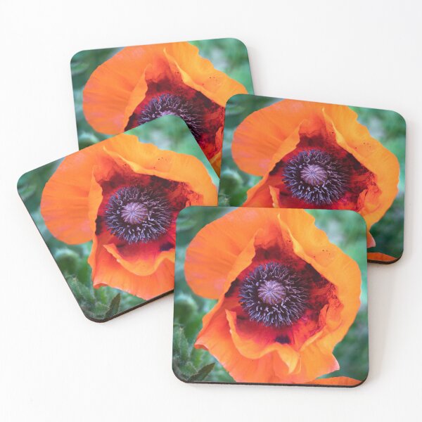 Item preview, Oriental Poppy flowerhead (Papaver orientale) designed and sold by ccullen222.