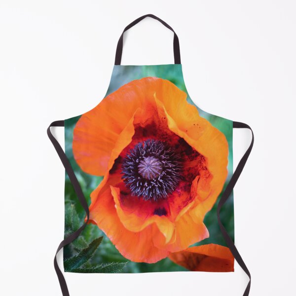 Artikelvorschau, Orientalischer Mohnblumenkopf (Papaver orientale) entworfen und verkauft von ccullen222.