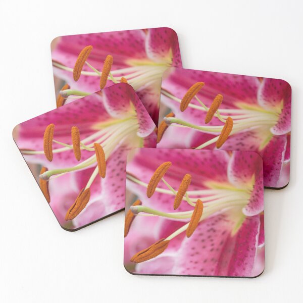 Item preview, Lily in august (square) designed and sold by John Guppy.