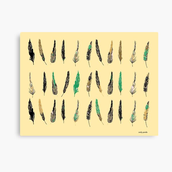 Set of feathers Canvas Print
