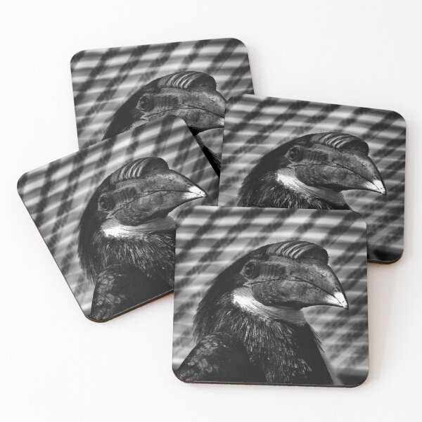 Item preview, Hornbill Portrait 1 designed and sold by Charles Oliver Creations.