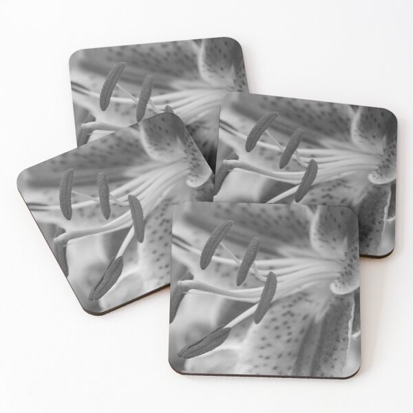 Item preview, Lily in august (square b&w) designed and sold by John Guppy.