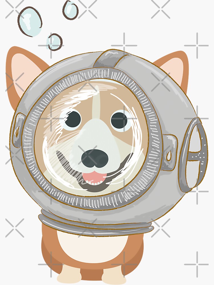My Corgi World - Majesty Pembroke - Cute welsh cardigan corgis is diving by Corgiworld