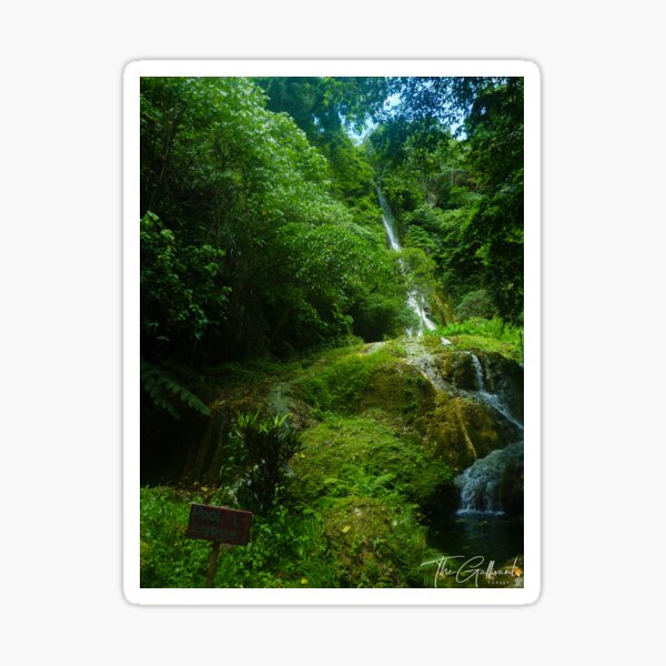 Cascade Pools Sticker