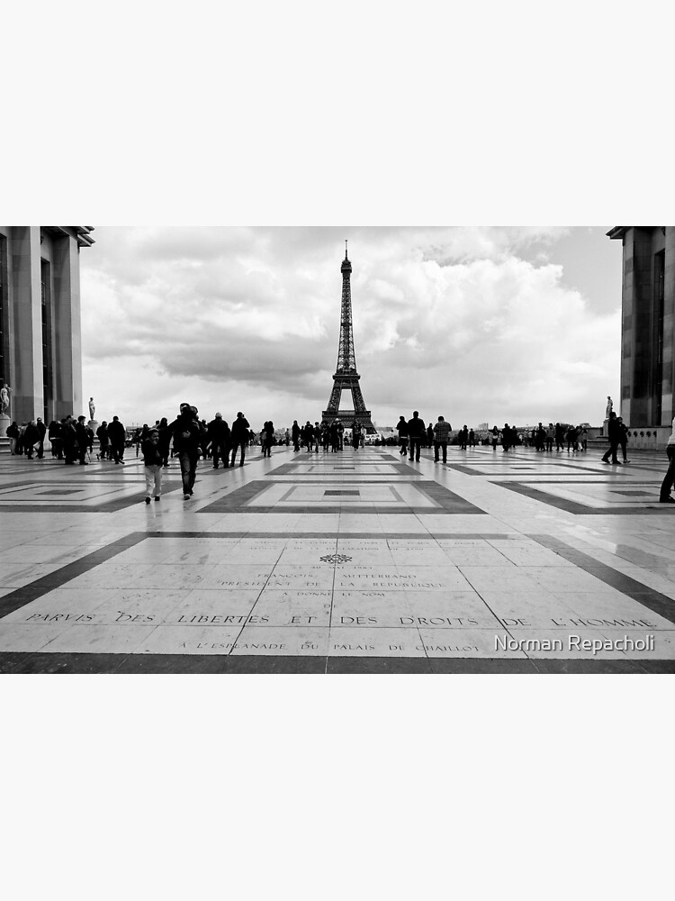 la Tour Eiffel depuis le Trocadéro - Paris, France by keystone