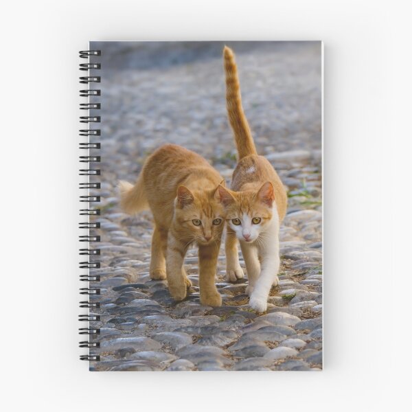 Aperçu de l'œuvre Les chatons compagnons marchent sur le même chemin créée et vendue par Katho Menden.