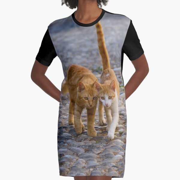 Vista previa del artículo con la obra «Gatitos acompañantes recorren el mismo camino», diseñado y vendido por Katho Menden.