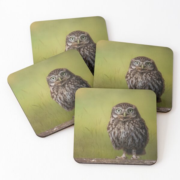 Item preview, Little Owl designed and sold by Tori Andrews.