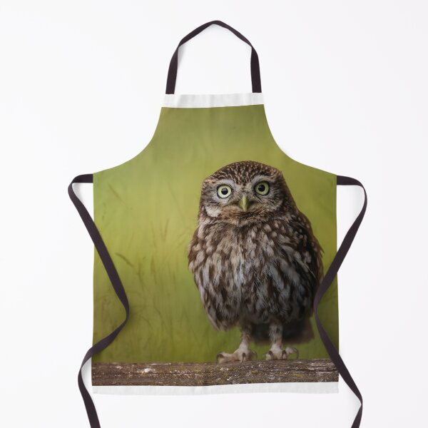 Item preview, Little Owl designed and sold by Tori Andrews.