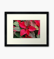 HOLIDAY CARDS Framed Print