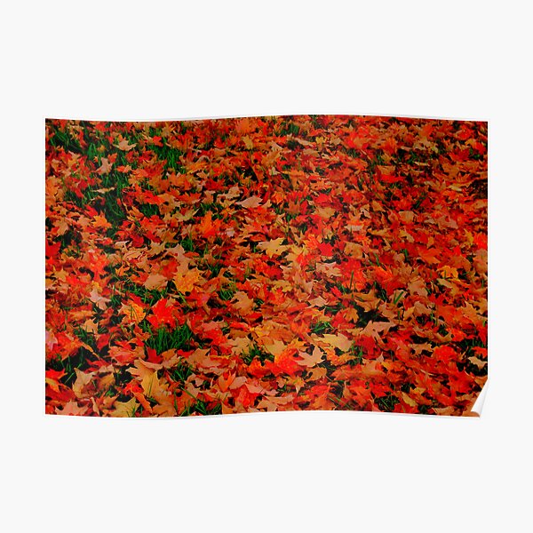 FALL FELL Poster