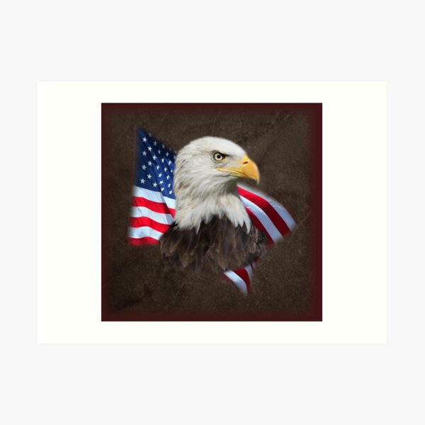 American Eagle and Flag Art Print