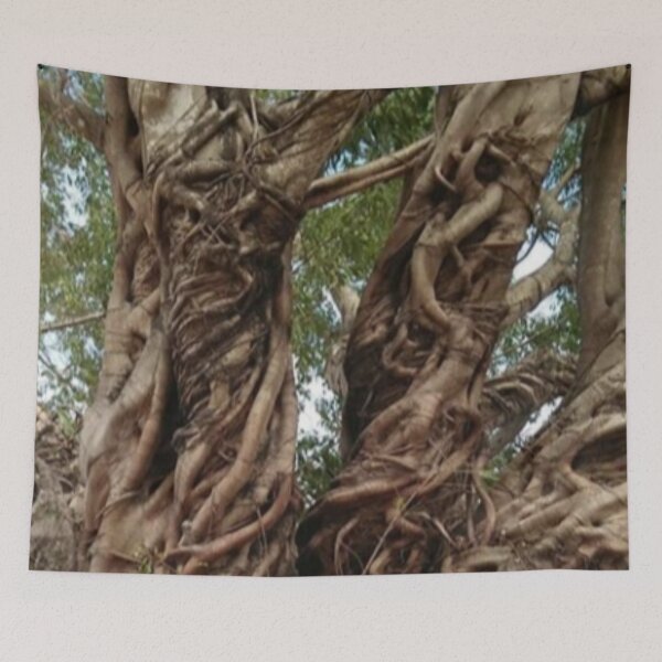 Item preview, Giant Ficus designed and sold by doodle3Dandy.