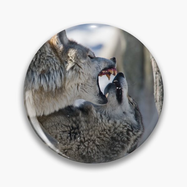 Artikelvorschau, Timber Wölfe spielen kämpfen entworfen und verkauft von WolvesOnly.
