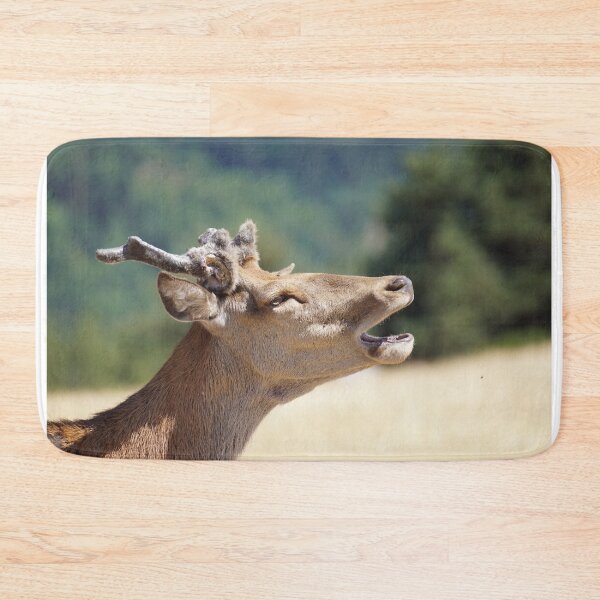 Item preview, Wild deer in south of France designed and sold by Alcphoto13.