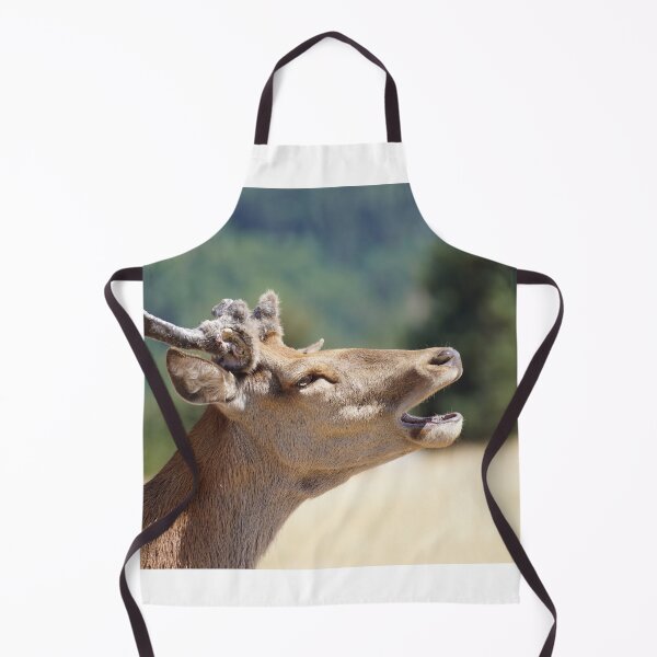 Item preview, Wild deer in south of France designed and sold by Alcphoto13.