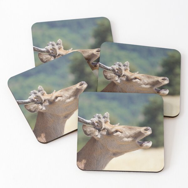 Item preview, Wild deer in south of France designed and sold by Alcphoto13.