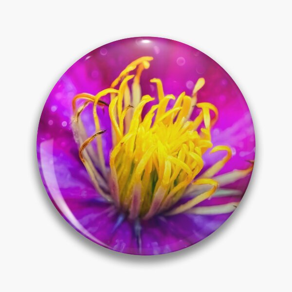 Item preview, Clamatis designed and sold by AJEvans.