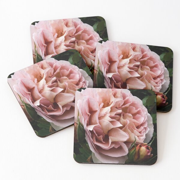 Item preview, Rose designed and sold by Charles Oliver Creations.