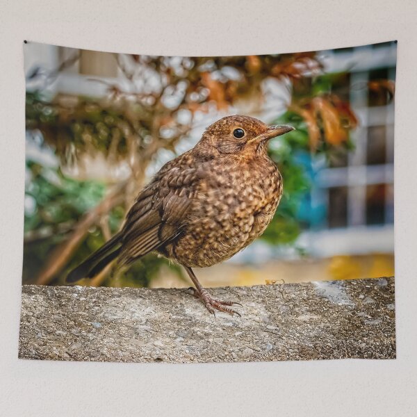 Item preview, Juvenile Blackbird designed and sold by AJEvans.
