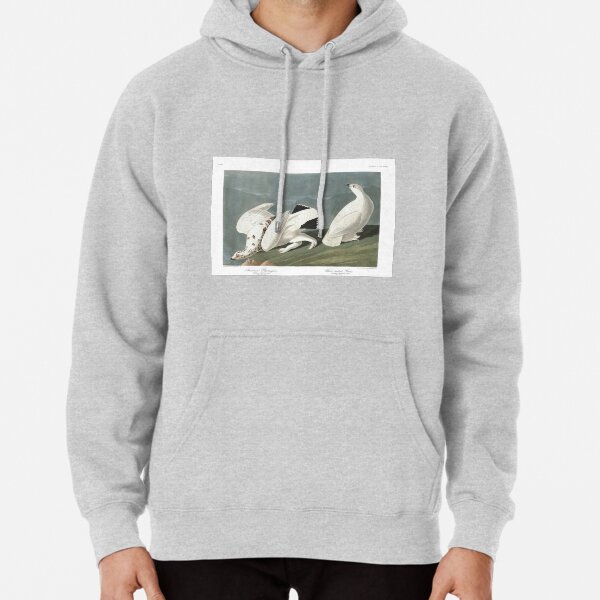 Top Best of Birds Ptarmigan Tshirt Birds of America Cottagecore JJ Audubon Pullover Hoodie