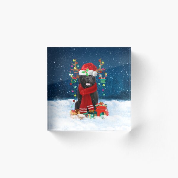 Newfoundland Dog in Snow with Christmas Gifts Acrylic Block