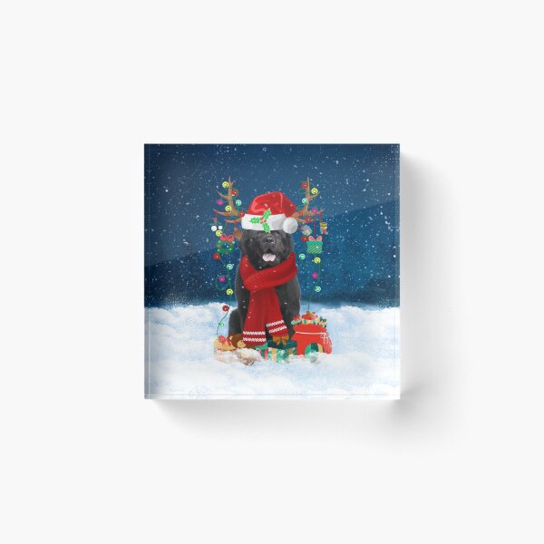 Newfoundland Dog in Snow with Christmas Gifts Acrylic Block