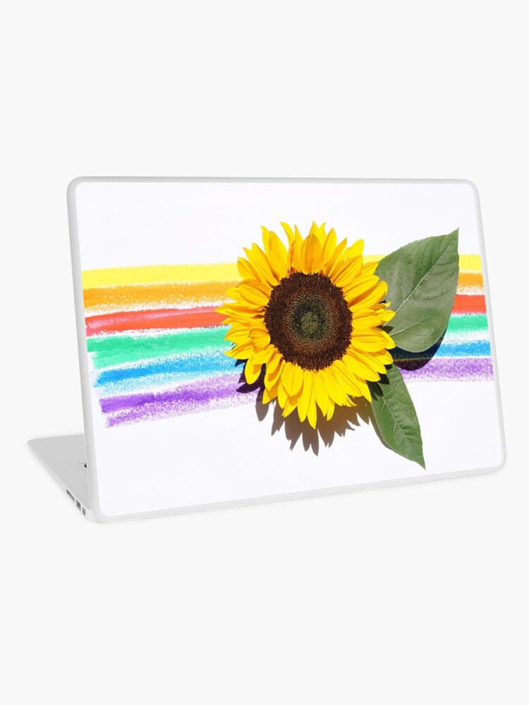 Sunflower with rainbow background 