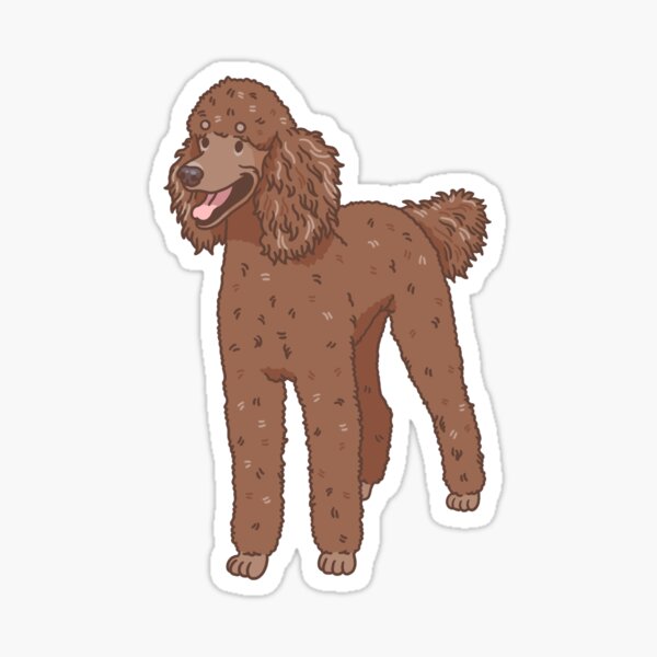 Standard Poodle Gifts Merchandise Redbubble