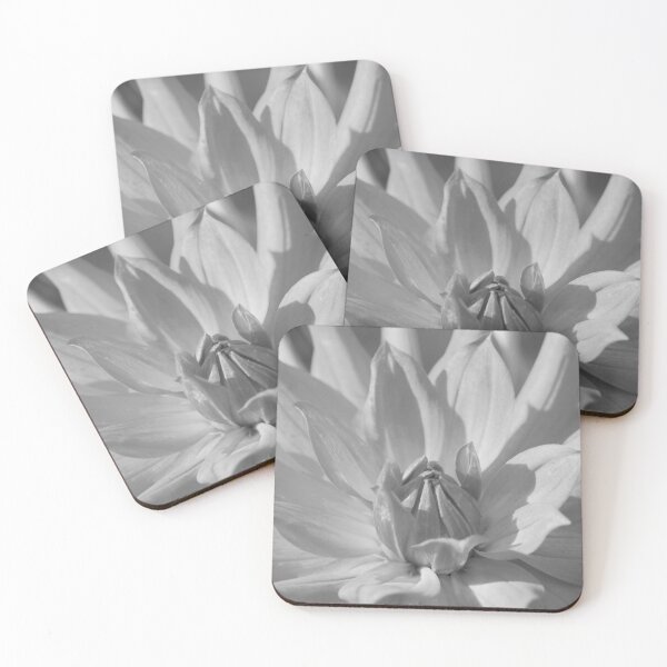 Item preview, Orange dahlia (square b&w) designed and sold by John Guppy.