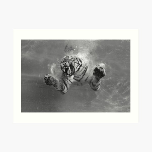 243. B.C. Art Print