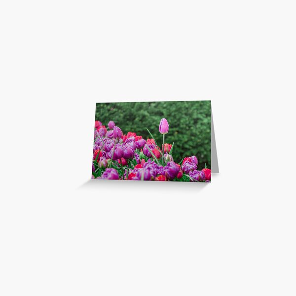 Be the best! Greeting Card